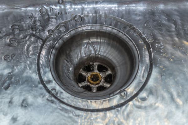 Why Do You Need Rooter Services For Your Drains?
